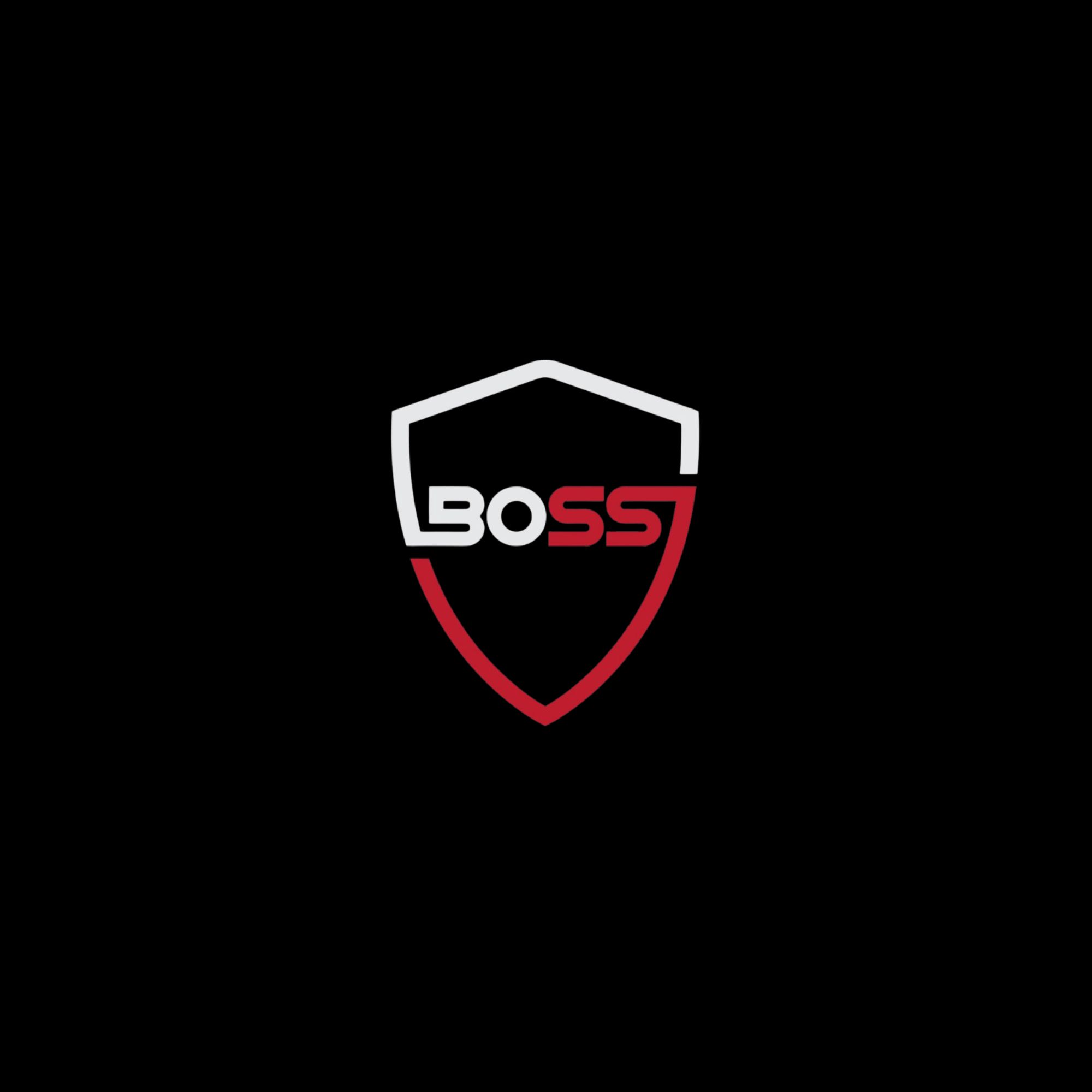 Boss Security Ltd